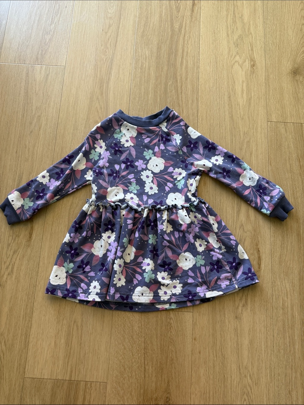 Little Sleepies Sugar Plum Floral Long Sleeve Drop Waist Dress